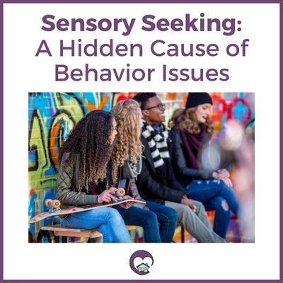 Sensory Seeking - Cause of Behavior Issues