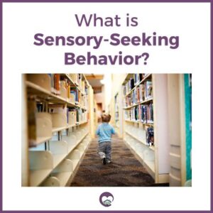 What is Sensory-Seeking Behavior?