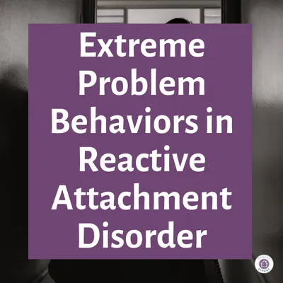 A purple sign that says extreme problem behavior in reactive attachment disorder.